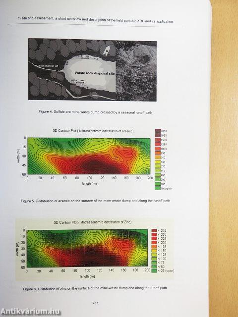 Innovative decision-support tools for risk-based environmental management
