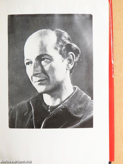 Novellák