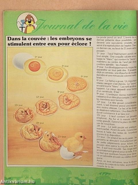 Pif Gadget 540