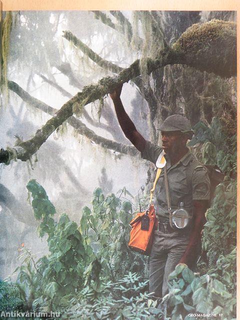 Geo Juillet 1981