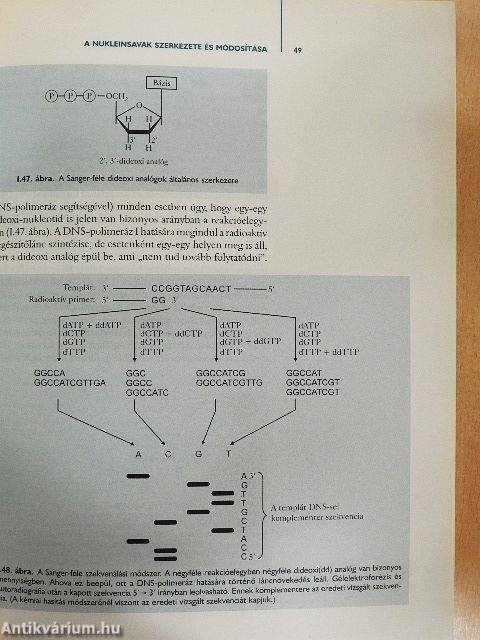 Molekuláris biológia I.