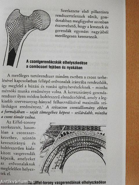 A néma járvány: csontritkulás