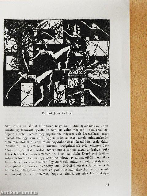 Iterum Gaudeamus 1995/1-2.
