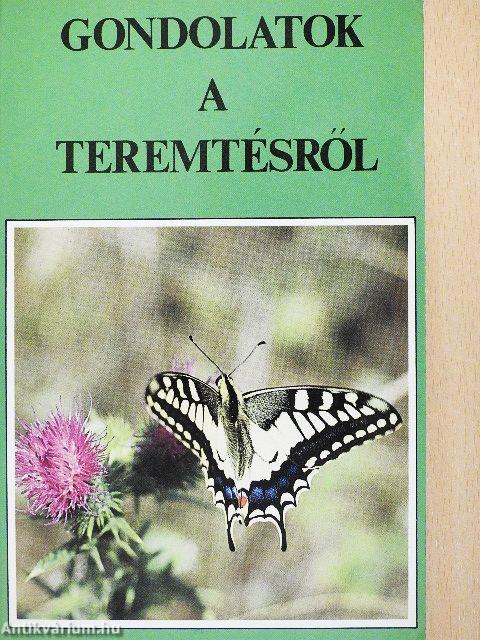 Gondolatok a teremtésről