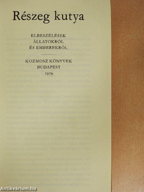 Részeg kutya