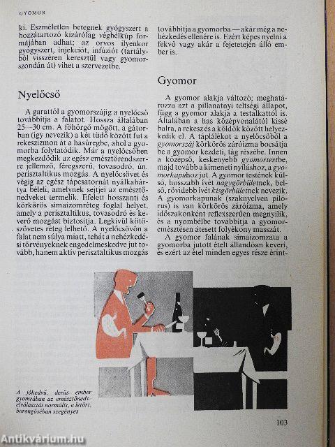 Orvos a családban