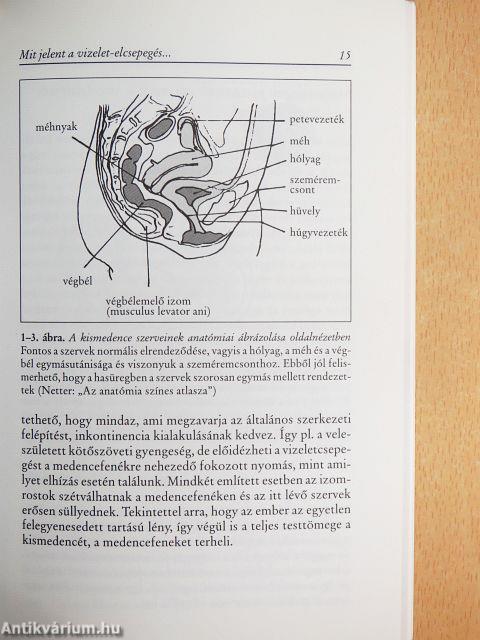 Női vizelettartási problémák