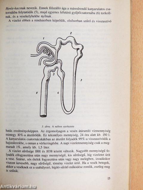 Vesebetegségről vesebetegeknek