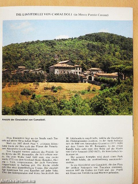 Frascati