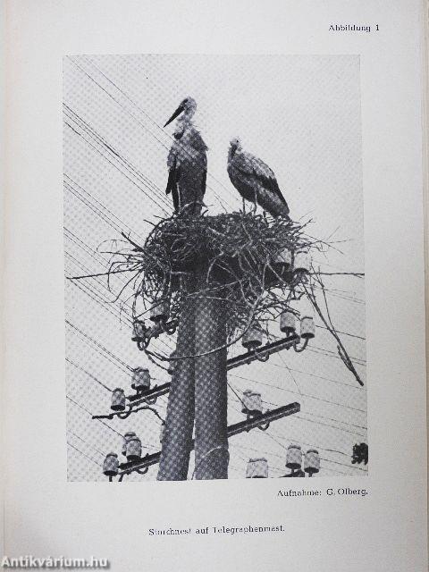 Vogelschutz und Vogelforschung