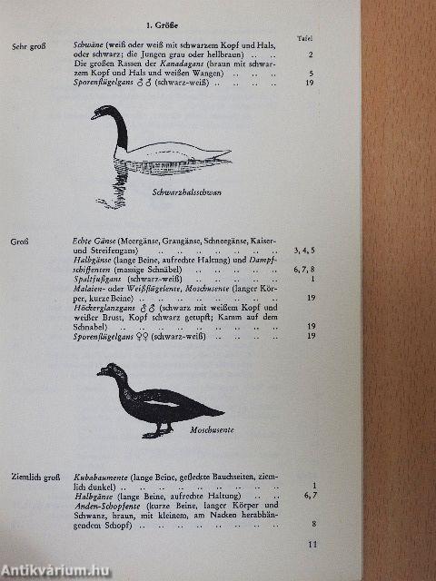 Das Wassergeflügel der Welt