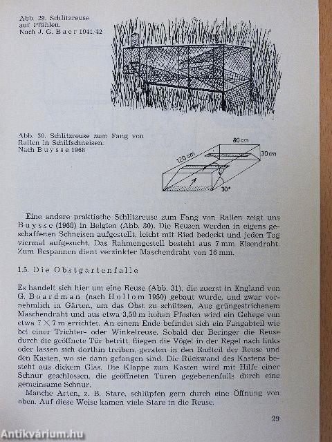 Vogelfang und Vogelberingung II.