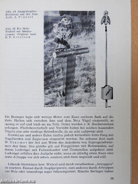 Vogelfang und Vogelberingung I.
