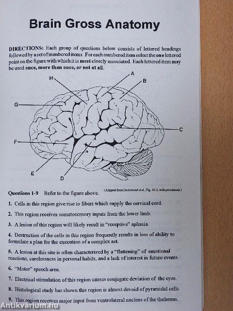 Neuroscience