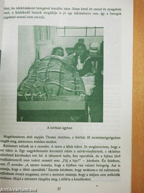 Táplálékod legyen gyógyítód!