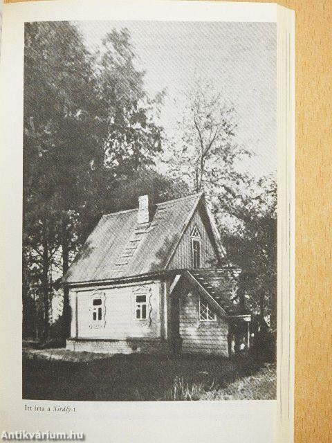 Csehov világa