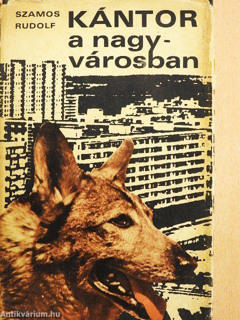 Kántor a nagyvárosban