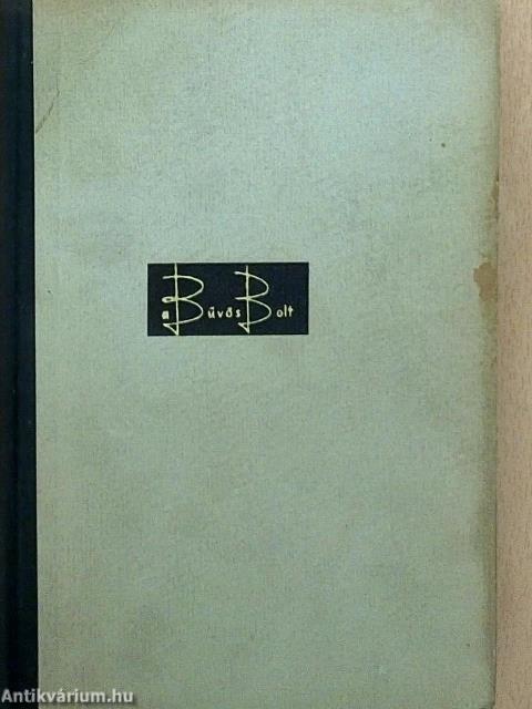 A bűvös bolt