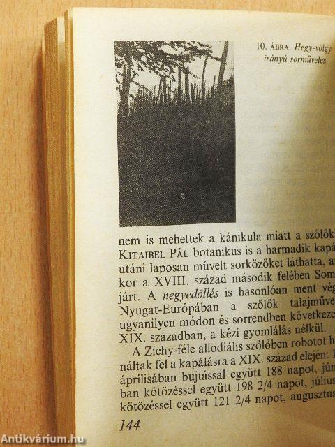 Nászéjszakák bora: a somlai