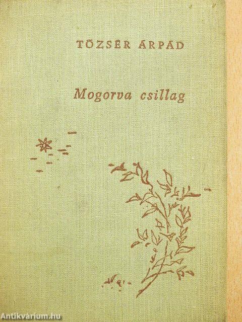 Mogorva csillag