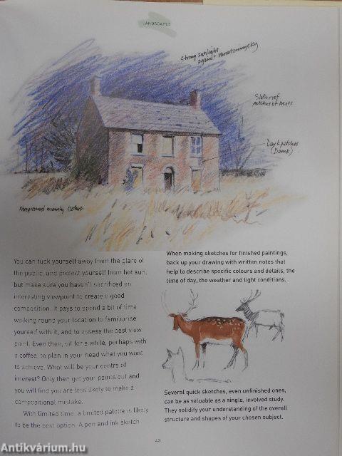 The Complete Beginner's Guide to Watercolour