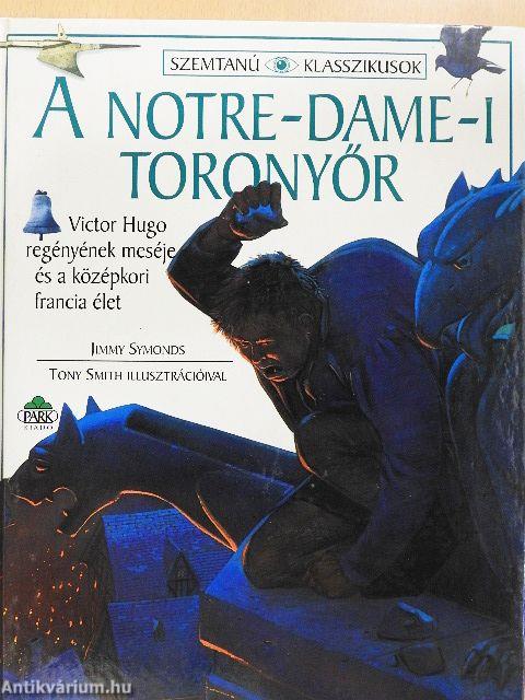 A Notre-Dame-i toronyőr