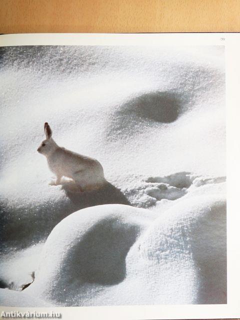 Lappland