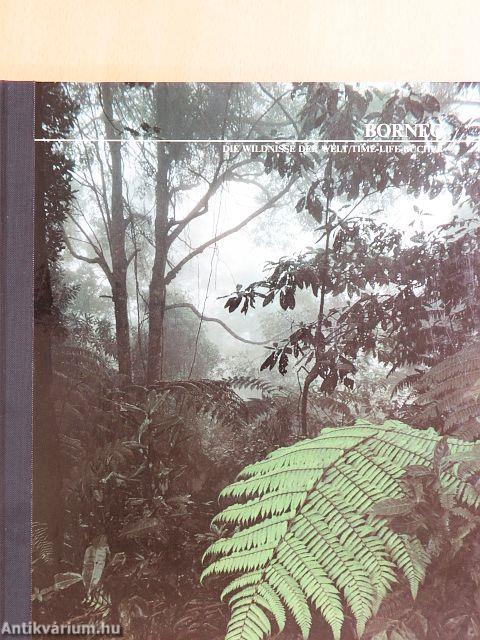 Borneo