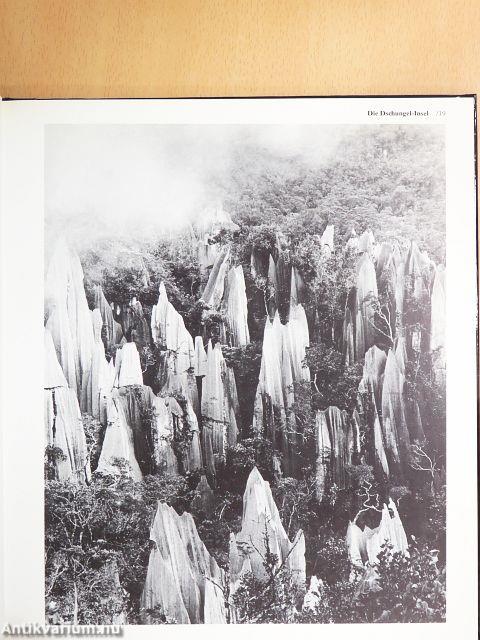 Borneo