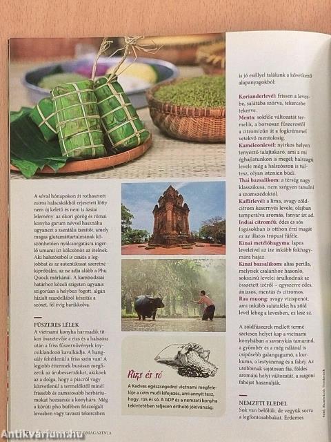 PulykaTrend 2017/01