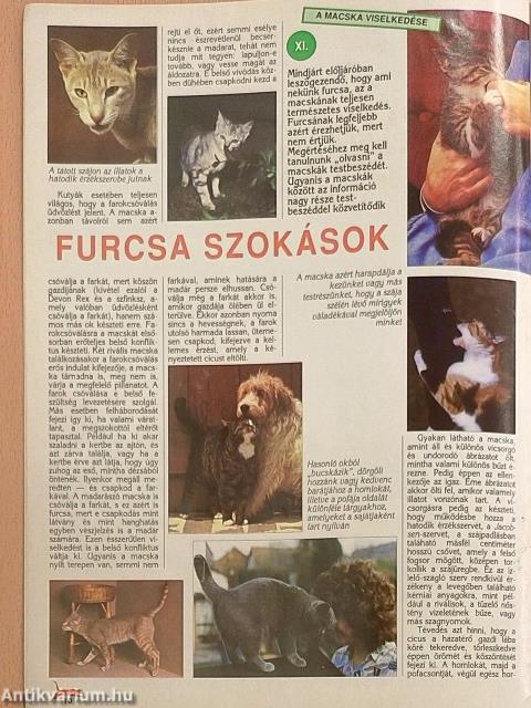 A Macska 1997. július