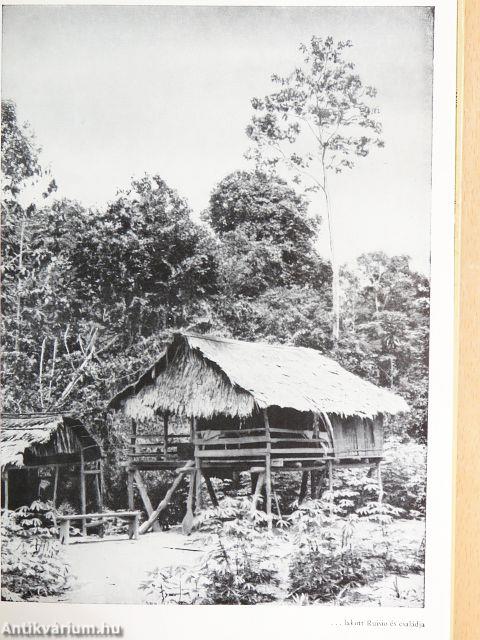 Yahuák