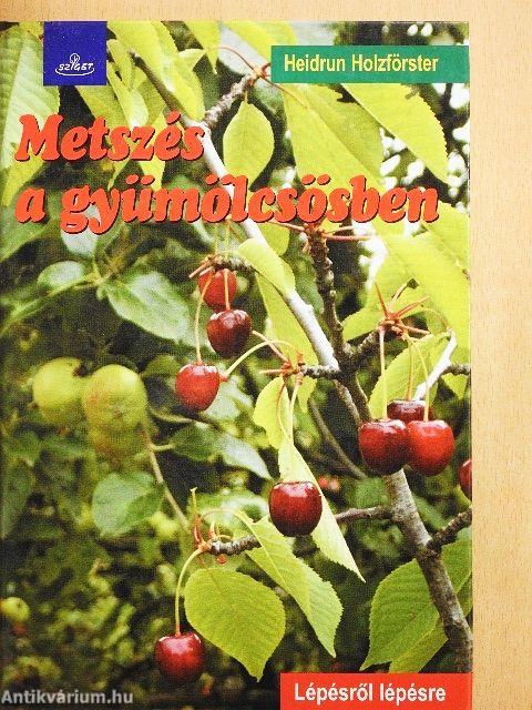 Metszés a gyümölcsösben