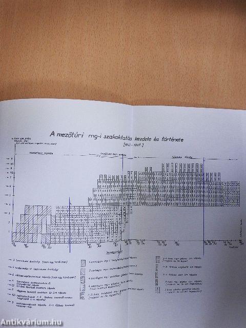 Jubileumi emlékkönyv