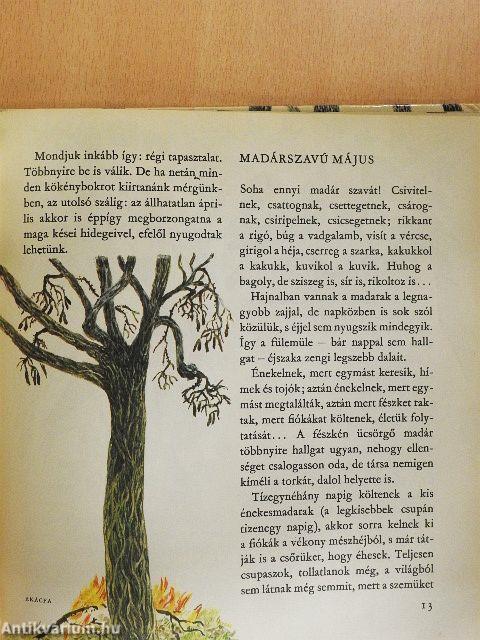 Erdei esztendő