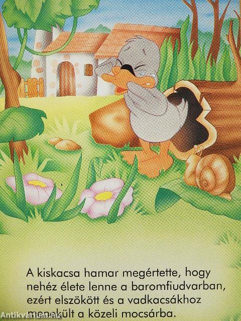 A rút kiskacsa