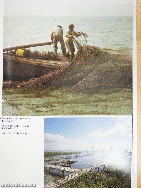 Balaton