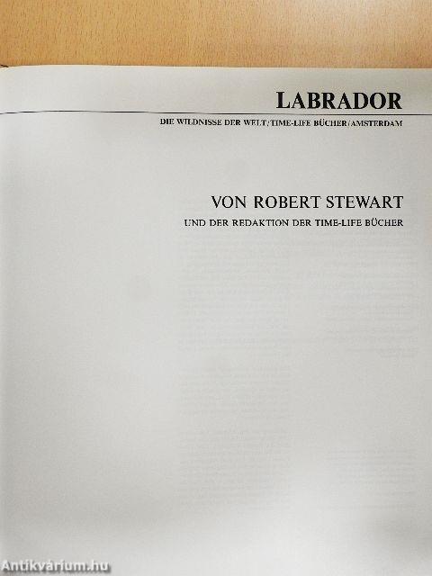 Labrador