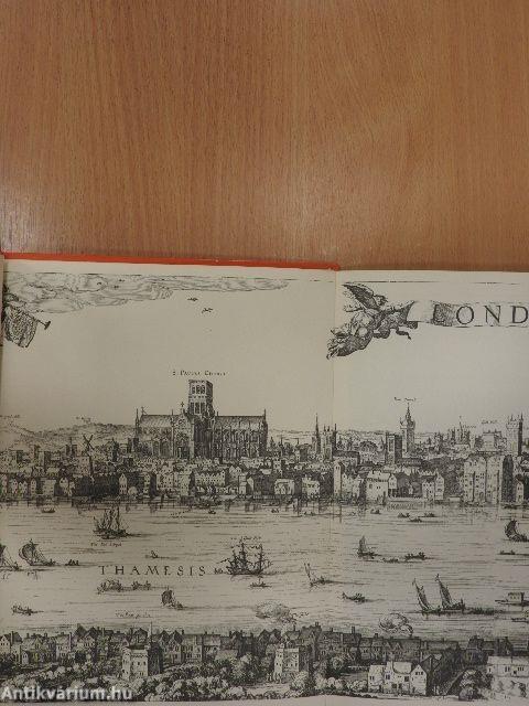 London Before The Fire - A Grand Panorama