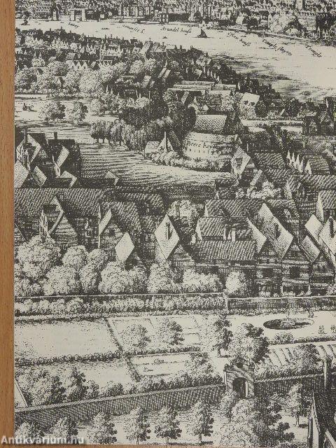 London Before The Fire - A Grand Panorama