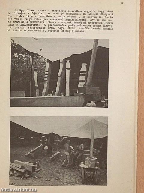 Demokrata 1989/6.
