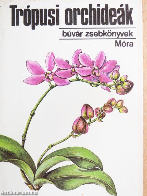Trópusi orchideák