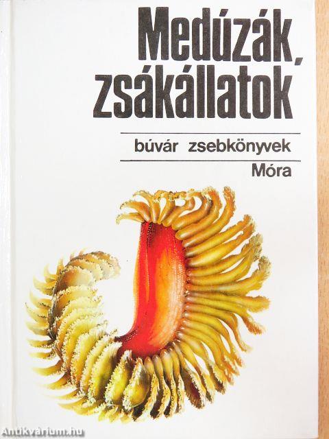 Medúzák, zsákállatok