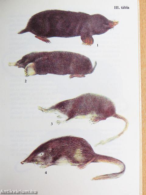 Kisemlősök