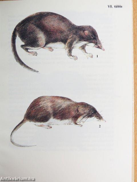 Kisemlősök