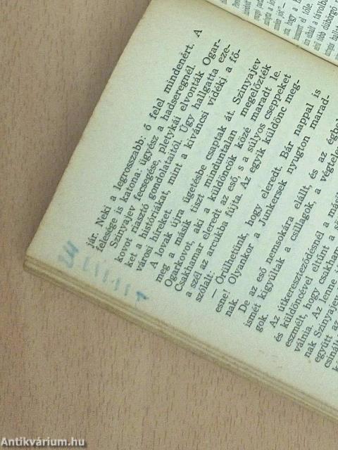 Csillag/Két ember a sztyeppén