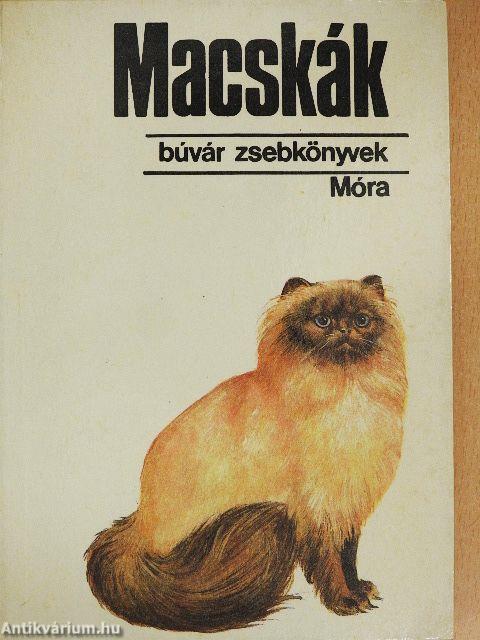 Macskák