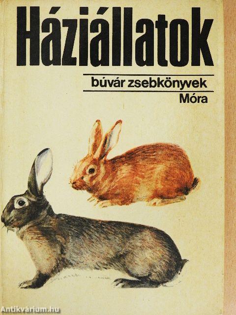 Háziállatok