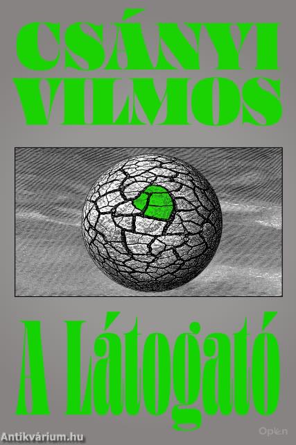 A látogató