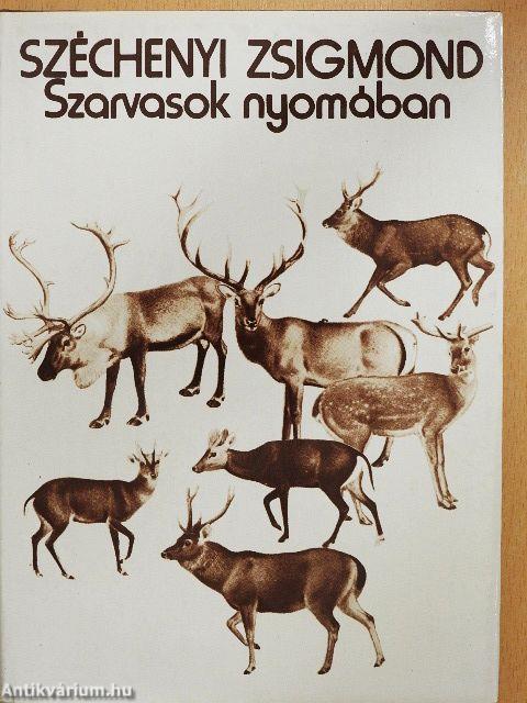 Szarvasok nyomában